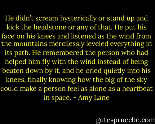 He didn’t scream hysterically or stand up and kick the headstone or any of that. He put his face on his knees and listened as the wind from the mountains mercilessly leveled everything in its path. He remembered the person who had helped him fly with the wind instead of being beaten down by it, and he cried quietly into his knees, finally knowing how the big of the sky could make a person feel as alone as a heartbeat in space. - Amy Lane