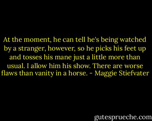 At the moment, he can tell he's being watched by a stranger, however, so he picks his feet up and tosses his mane just a little more than usual. I allow him his show. There are worse flaws than vanity in a horse. - Maggie Stiefvater