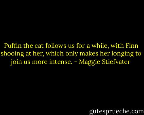 Puffin the cat follows us for a while, with Finn shooing at her, which only makes her longing to join us more intense. - Maggie Stiefvater