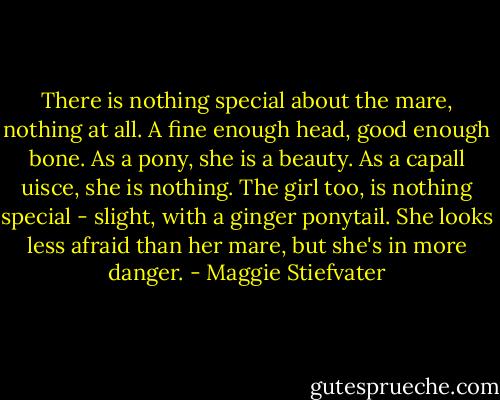 There is nothing special about the mare, nothing at all. A fine enough head, good enough bone. As a pony, she is a beauty. As a capall uisce, she is nothing. The girl too, is nothing special - slight, with a ginger ponytail. She looks less afraid than her mare, but she's in more danger. - Maggie Stiefvater