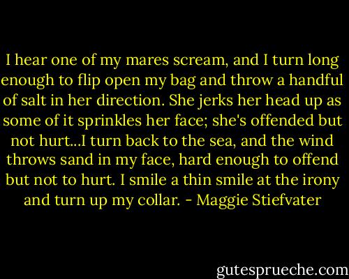 I hear one of my mares scream, and I turn long enough to flip open my bag and throw a handful of salt in her direction. She jerks her head up as some of it sprinkles her face; she's offended but not hurt...I turn back to the sea, and the wind throws sand in my face, hard enough to offend but not to hurt. I smile a thin smile at the irony and turn up my collar. - Maggie Stiefvater