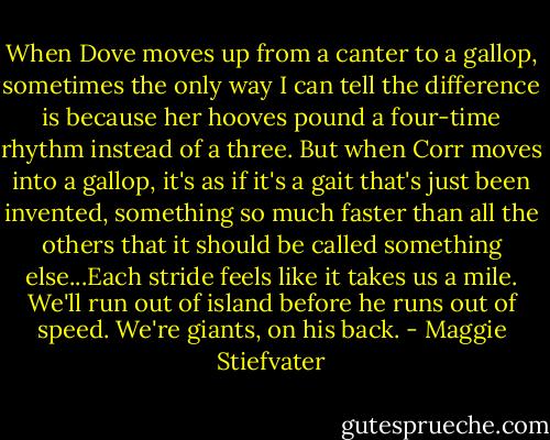 When Dove moves up from a canter to a gallop, sometimes the only way I can tell the difference is because her hooves pound a four-time rhythm instead of a three. But when Corr moves into a gallop, it's as if it's a gait that's just been invented, something so much faster than all the others that it should be called something else...Each stride feels like it takes us a mile. We'll run out of island before he runs out of speed. We're giants, on his back. - Maggie Stiefvater