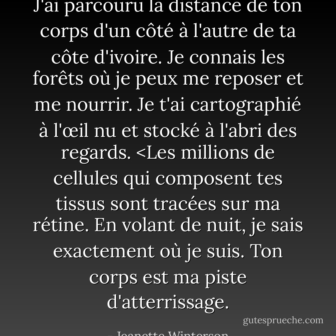 J'ai parcouru la distance de ton corps d'un côté à l'autre de ta côte d'ivoire. Je connais les forêts où je peux me reposer et me nourrir. Je t'ai cartographié à l'œil nu et stocké à l'abri des regards. <Les millions de cellules qui composent tes tissus sont tracées sur ma rétine. En volant de nuit, je sais exactement où je suis. Ton corps est ma piste d'atterrissage. - Jeanette Winterson