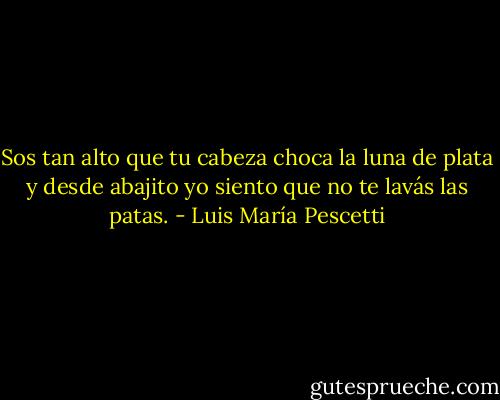 Sos tan alto que tu cabeza<br />choca la luna de plata<br />y desde abajito yo siento<br />que no te lavás las patas. - Luis María Pescetti
