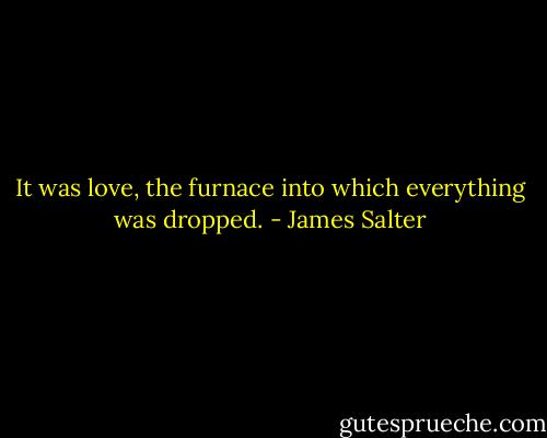 It was love, the furnace into which everything was dropped. - James Salter