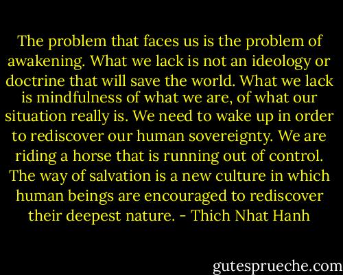 The problem that faces us is the problem of awakening. What we lack is not an ideology or doctrine that will save the world. What we lack is mindfulness of what we are, of what our situation really is. We need to wake up in order to rediscover our human sovereignty. We are riding a horse that is running out of control. The way of salvation is a new culture in which human beings are encouraged to rediscover their deepest nature. - Thich Nhat Hanh