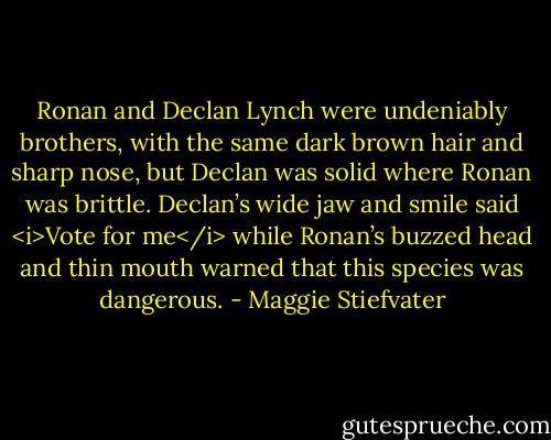 Ronan and Declan Lynch were undeniably brothers, with the same dark brown hair and sharp nose, but Declan was solid where Ronan was brittle. Declan’s wide jaw and smile said <i>Vote for me</i> while Ronan’s buzzed head and thin mouth warned that this species was dangerous. - Maggie Stiefvater
