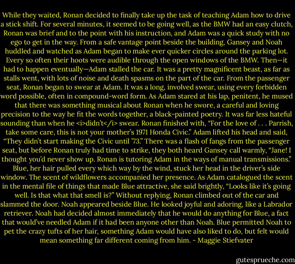 While they waited, Ronan decided to finally take up the task of teaching Adam how to drive a stick shift. For several minutes, it seemed to be going well, as the BMW had an easy clutch, Ronan was brief and to the point with his instruction, and Adam was a quick study with no ego to get in the way.<br />From a safe vantage point beside the building, Gansey and Noah huddled and watched as Adam began to make ever quicker circles around the parking lot. Every so often their hoots were audible through the open windows of the BMW.<br />Then—it had to happen eventually—Adam stalled the car. It was a pretty magnificent beast, as far as stalls went, with lots of noise and death spasms on the part of the car. From the passenger seat, Ronan began to swear at Adam. It was a long, involved swear, using every forbidden word possible, often in compound-word form. As Adam stared at his lap, penitent, he mused that there was something musical about Ronan when he swore, a careful and loving precision to the way he fit the words together, a black-painted poetry. It was far less hateful sounding than when he <i>didn’t</i> swear.<br />Ronan finished with, “For the love of . . . Parrish, take some care, this is not your mother’s 1971 Honda Civic.”<br />Adam lifted his head and said, “They didn’t start making the Civic until ’73.”<br />There was a flash of fangs from the passenger seat, but before Ronan truly had time to strike, they both heard Gansey call warmly, “Jane! I thought you’d never show up. Ronan is tutoring Adam in the ways of manual transmissions.”<br />Blue, her hair pulled every which way by the wind, stuck her head in the driver’s side window. The scent of wildflowers accompanied her presence. As Adam catalogued the scent in the mental file of things that made Blue attractive, she said brightly, “Looks like it’s going well. Is that what that smell is?”<br />Without replying, Ronan climbed out of the car and slammed the door.<br />Noah appeared beside Blue. He looked joyful and adoring, like a Labrador retriever. Noah had decided almost immediately that he would do anything for Blue, a fact that would’ve needled Adam if it had been anyone other than Noah.<br />Blue permitted Noah to pet the crazy tufts of her hair, something Adam would have also liked to do, but felt would mean something far different coming from him. - Maggie Stiefvater