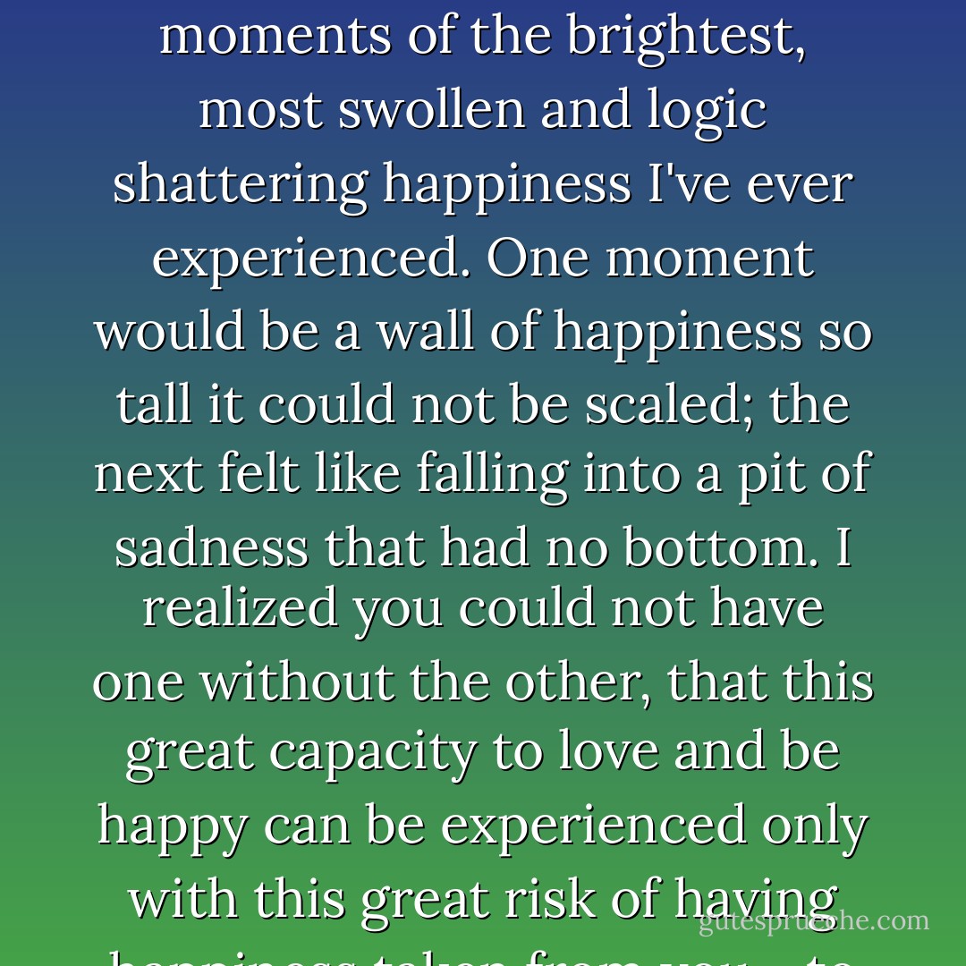 Tucked inside the moments of this great sadness - this feeling of being punctured, scrambling and stricken - were also moments of the brightest, most swollen and logic shattering happiness I've ever experienced. One moment would be a wall of happiness so tall it could not be scaled; the next felt like falling into a pit of sadness that had no bottom. I realized you could not have one without the other, that this great capacity to love and be happy can be experienced only with this great risk of having happiness taken from you - to tremble, always, on the edge of loss. - Emily Rapp