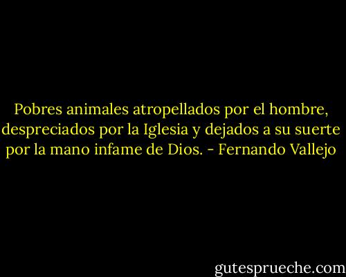 Pobres animales atropellados por el hombre,<br />despreciados por la Iglesia y dejados a su suerte por la mano infame de Dios. - Fernando Vallejo
