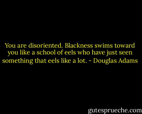 You are disoriented. Blackness swims toward you like a school of eels who have just seen something that eels like a lot. - Douglas Adams