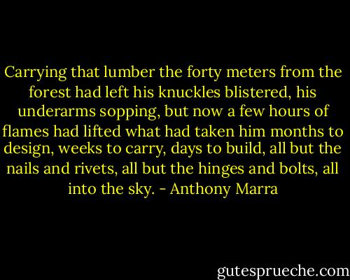 Carrying that lumber the forty meters from the forest had left his knuckles blistered, his underarms sopping, but now a few hours of flames had lifted what had taken him months to design, weeks to carry, days to build, all but the nails and rivets, all but the hinges and bolts, all into the sky. - Anthony Marra
