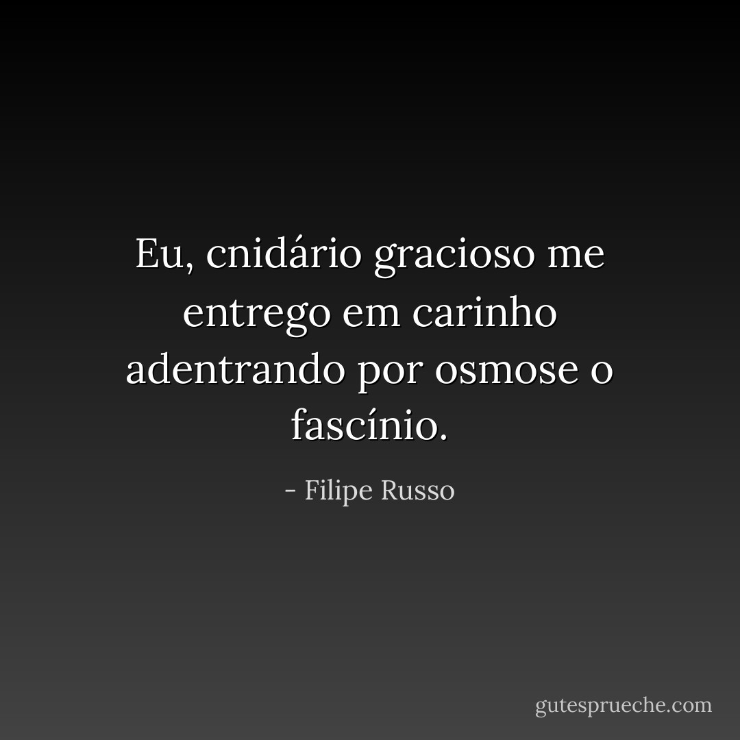 Eu, cnidário gracioso me entrego em carinho adentrando por osmose o fascínio. - Filipe Russo