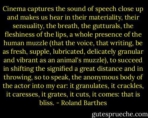 Cinema captures the sound of speech close up and makes us hear in their materiality, their sensuality, the breath, the gutturals, the fleshiness of the lips, a whole presence of the human muzzle (that the voice, that writing, be as fresh, supple, lubricated, delicately granular and vibrant as an animal's muzzle), to succeed in shifting the signified a great distance and in throwing, so to speak, the anonymous body of the actor into my ear: it granulates, it crackles, it caresses, it grates, it cuts, it comes: that is bliss. - Roland Barthes