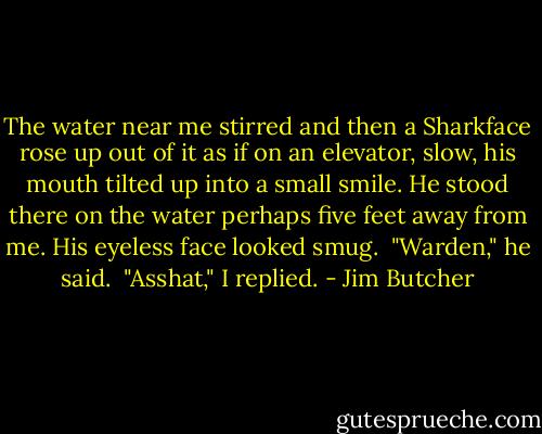 The water near me stirred and then a Sharkface rose up out of it as if on an elevator, slow, his mouth tilted up into a small smile. He stood there on the water perhaps five feet away from me. His eyeless face looked smug.<br /><br />"Warden," he said.<br /><br />"Asshat," I replied. - Jim Butcher