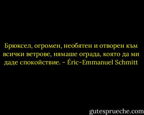 Брюксел, огромен, необятен и отворен към всички ветрове, нямаше ограда, която да ми даде спокойствие. - Éric-Emmanuel Schmitt