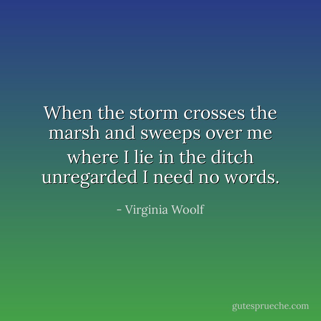 When the storm crosses the marsh and sweeps over me where I lie in the ditch unregarded I need no words. - Virginia Woolf
