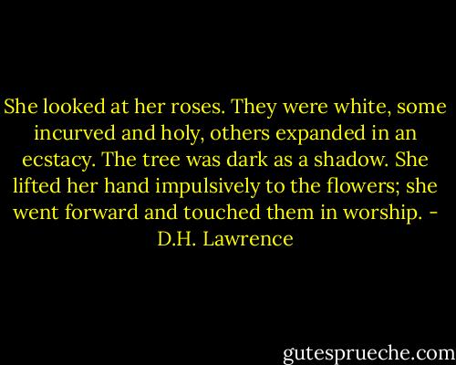 She looked at her roses. They were white, some incurved and holy, others expanded in an ecstacy. The tree was dark as a shadow. She lifted her hand impulsively to the flowers; she went forward and touched them in worship. - D.H. Lawrence