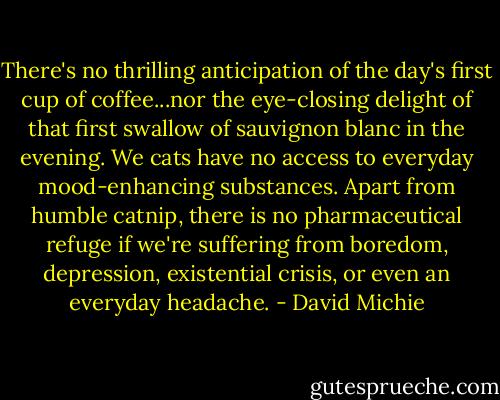 There's no thrilling anticipation of the day's first cup of coffee...nor the eye-closing delight of that first swallow of sauvignon blanc in the evening. We cats have no access to everyday mood-enhancing substances. Apart from humble catnip, there is no pharmaceutical refuge if we're suffering from boredom, depression, existential crisis, or even an everyday headache. - David Michie