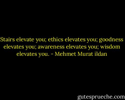 Stairs elevate you; ethics elevates you; goodness elevates you; awareness elevates you; wisdom elevates you. - Mehmet Murat ildan