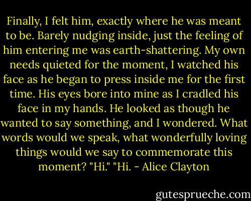 Finally, I felt him, exactly where he was meant to be. Barely nudging inside, just the feeling of him entering me was earth-shattering. My own needs quieted for the moment, I watched his face as he began to press inside me for the first time. His eyes bore into mine as I cradled his face in my hands. He looked as though he wanted to say something, and I wondered. What words would we speak, what wonderfully loving things would we say to commemorate this moment?<br />"Hi."<br />"Hi. - Alice Clayton
