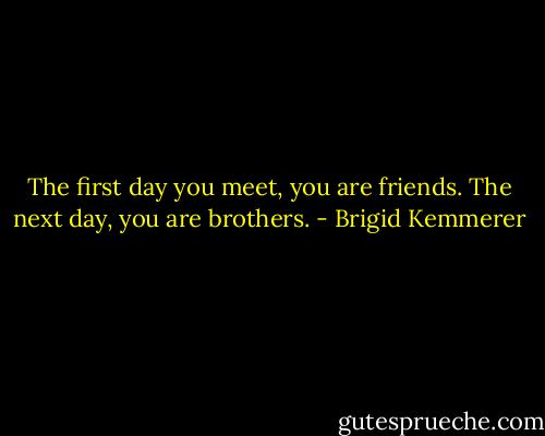 The first day you meet, you are friends. The next day, you are brothers. - Brigid Kemmerer