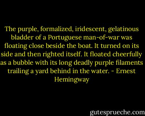 The purple, formalized, iridescent, gelatinous bladder of a Portuguese man-of-war was floating close beside the boat. It turned on its side and then righted itself. It floated cheerfully as a bubble with its long deadly purple filaments trailing a yard behind in the water. - Ernest Hemingway