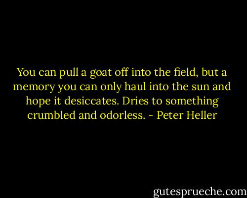 You can pull a goat off into the field, but a memory you can only haul into the sun and hope it desiccates. Dries to something crumbled and odorless. - Peter Heller