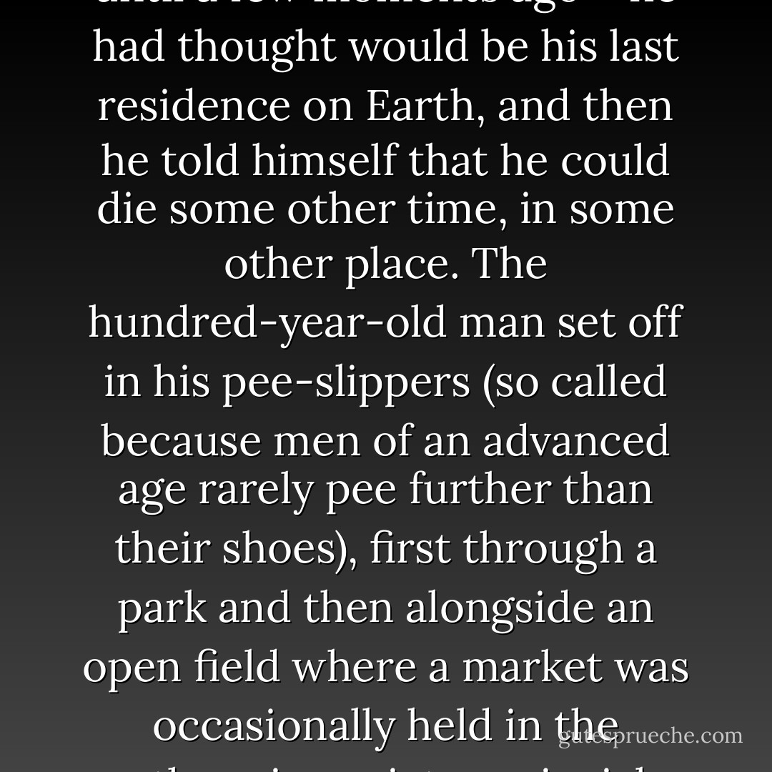 He turned to take one last look at the Old People’s Home that – until a few moments ago – he had thought would be his last residence on Earth, and then he told himself that he could die some other time, in some other place.<br />The hundred-year-old man set off in his pee-slippers (so called because men of an advanced age rarely pee further than their shoes), first through a park and then alongside an open field where a market was occasionally held in the otherwise quiet provincial town. - Jonas Jonasson