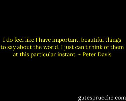 I do feel like I have important, beautiful things to say about the world, I just can't think of them at this particular instant. - Peter Davis