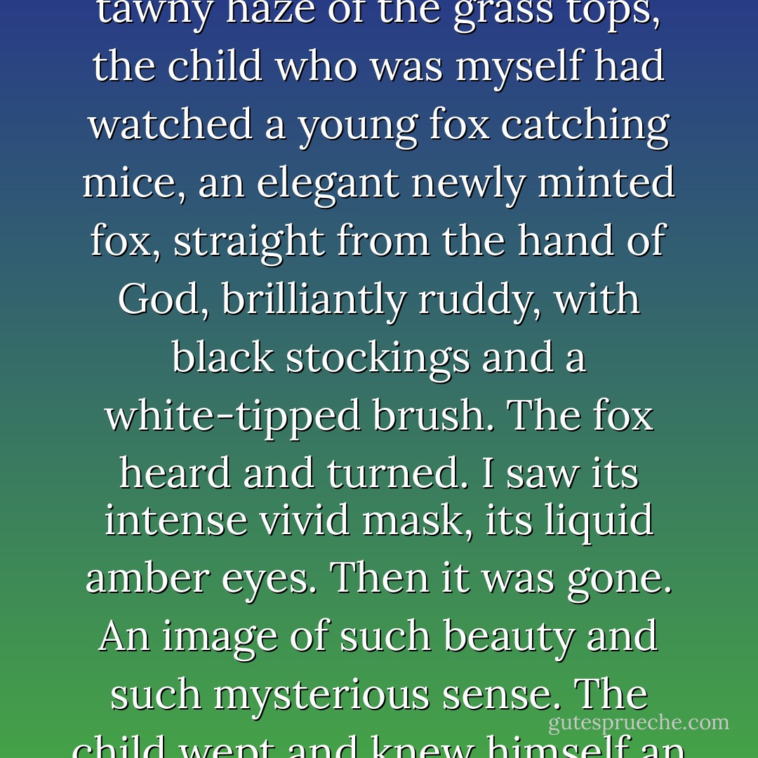 Once in an endless meadow, just able to peer through the tawny haze of the grass tops, the child who was myself had watched a young fox catching mice, an elegant newly minted fox, straight from the hand of God, brilliantly ruddy, with black stockings and a white-tipped brush. The fox heard and turned. I saw its intense vivid mask, its liquid amber eyes. Then it was gone. An image of such beauty and such mysterious sense. The child wept and knew himself an artist. - Iris Murdoch