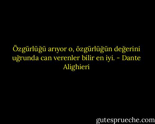 Özgürlüğü arıyor o, özgürlüğün değerini<br />uğrunda can verenler bilir en iyi. - Dante Alighieri