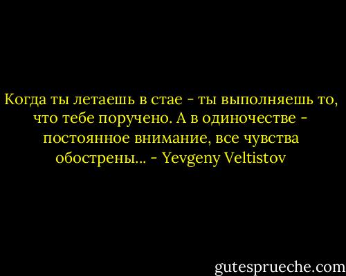 Когда ты летаешь в стае - ты выполняешь то, что тебе поручено. А в одиночестве - постоянное внимание, все чувства обострены... - Yevgeny Veltistov
