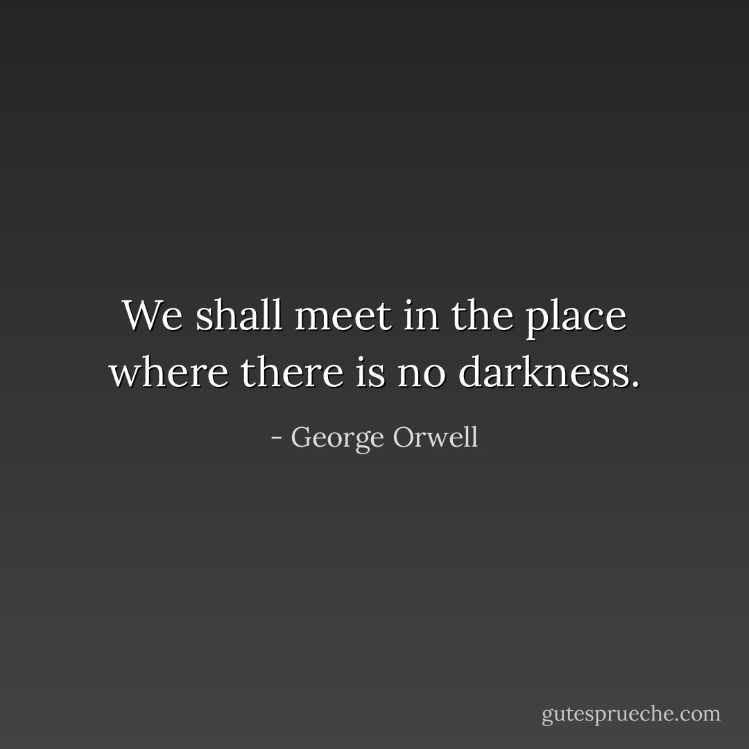 We shall meet in the place where there is no darkness. - George Orwell