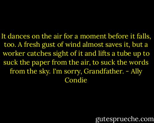 It dances on the air for a moment before it falls, too. A fresh gust of wind almost saves it, but a worker catches sight of it and lifts a tube up to suck the paper from the air, to suck the words from the sky.<br />I'm sorry, Grandfather. - Ally Condie