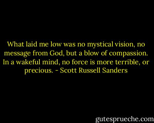 What laid me low was no mystical vision, no message from God, but a blow of compassion. In a wakeful mind, no force is more terrible, or precious. - Scott Russell Sanders