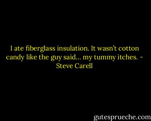 I ate fiberglass insulation. It wasn’t cotton candy like the guy said… my tummy itches. - Steve Carell
