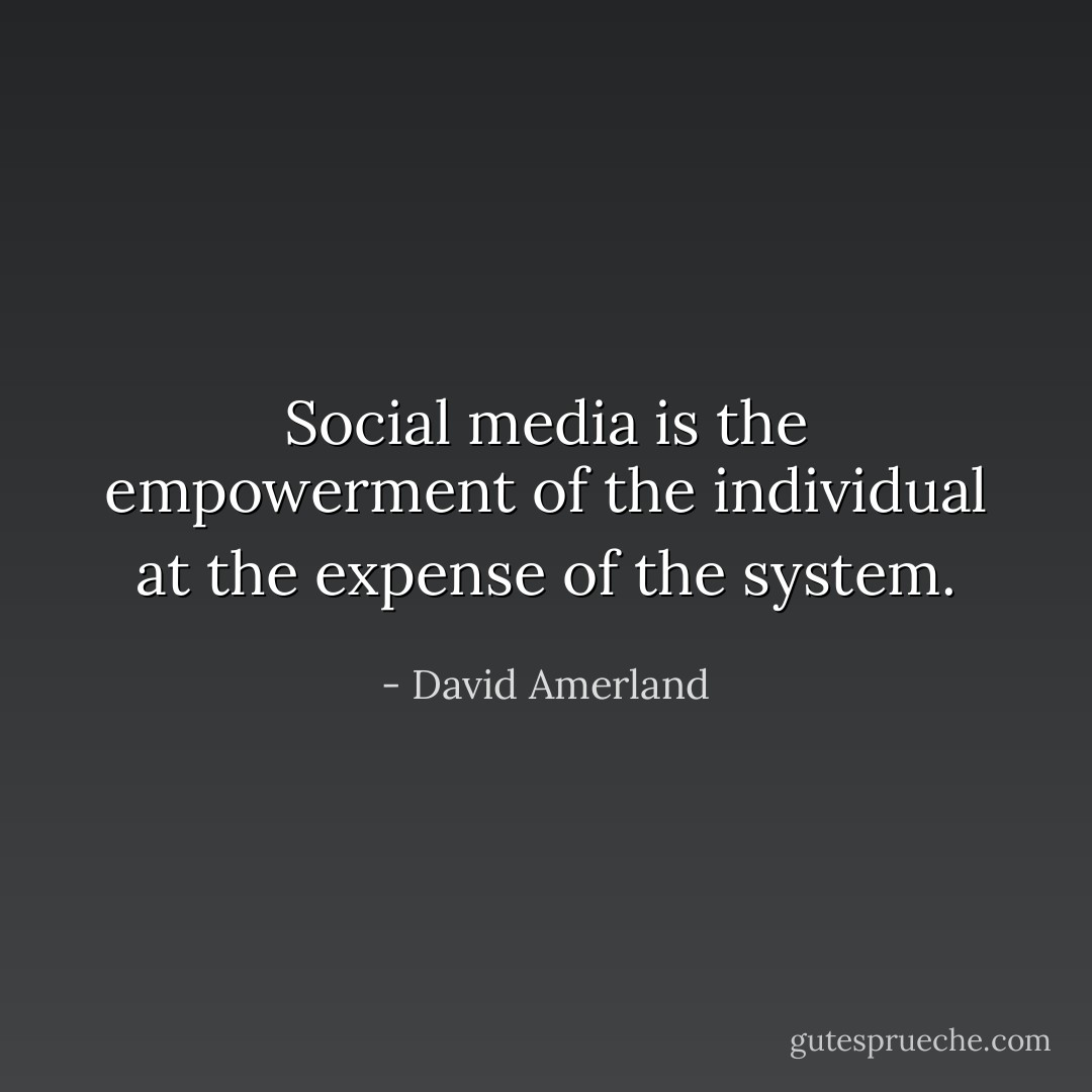 Social media is the empowerment of the individual at the expense of the system. - David Amerland