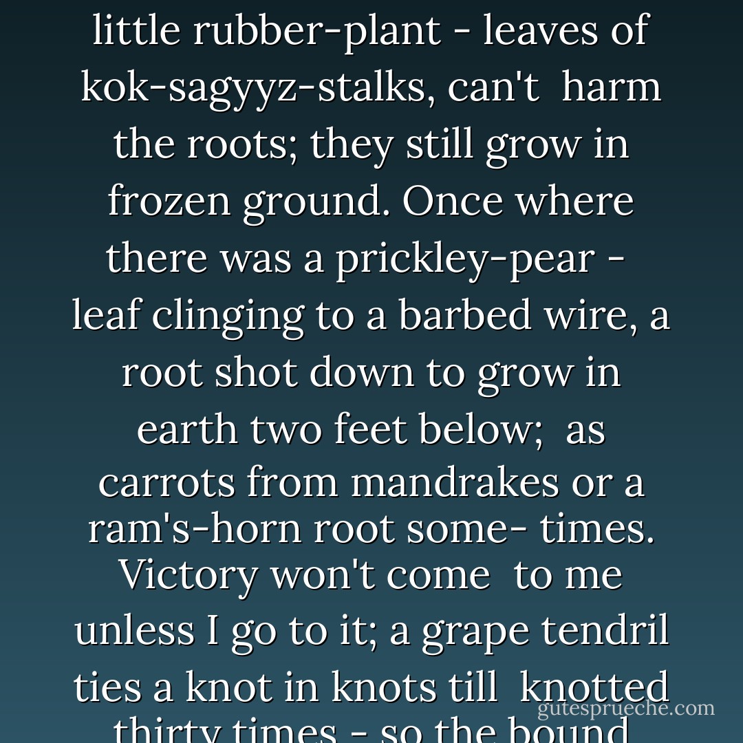 Nevertheless"<br /><br />you've seen a strawberry<br />that's had a struggle; yet<br />was, where the fragments met,<br /><br />a hedgehog or a star-<br />fish for the multitude<br />of seeds. What better food<br /><br />than apple seeds - the fruit<br />within the fruit - locked in<br />like counter-curved twin<br /><br />hazelnuts? Frost that kills<br />the little rubber-plant -<br />leaves of kok-sagyyz-stalks, can't<br /><br />harm the roots; they still grow<br />in frozen ground. Once where<br />there was a prickley-pear -<br /><br />leaf clinging to a barbed wire,<br />a root shot down to grow<br />in earth two feet below;<br /><br />as carrots from mandrakes<br />or a ram's-horn root some-<br />times. Victory won't come<br /><br />to me unless I go<br />to it; a grape tendril<br />ties a knot in knots till<br /><br />knotted thirty times - so<br />the bound twig that's under-<br />gone and over-gone, can't stir.<br /><br />The weak overcomes its<br />menace, the strong over-<br />comes itself. What is there<br /><br />like fortitude! What sap<br />went through that little thread<br />to make the cherry red! - Marianne Moore