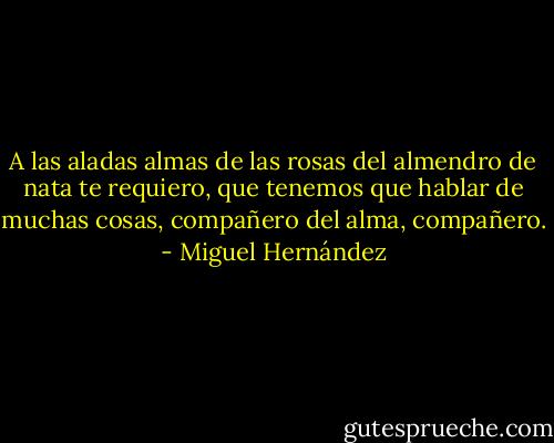 A las aladas almas de las rosas<br />del almendro de nata te requiero,<br />que tenemos que hablar de muchas cosas,<br />compañero del alma, compañero. - Miguel Hernández