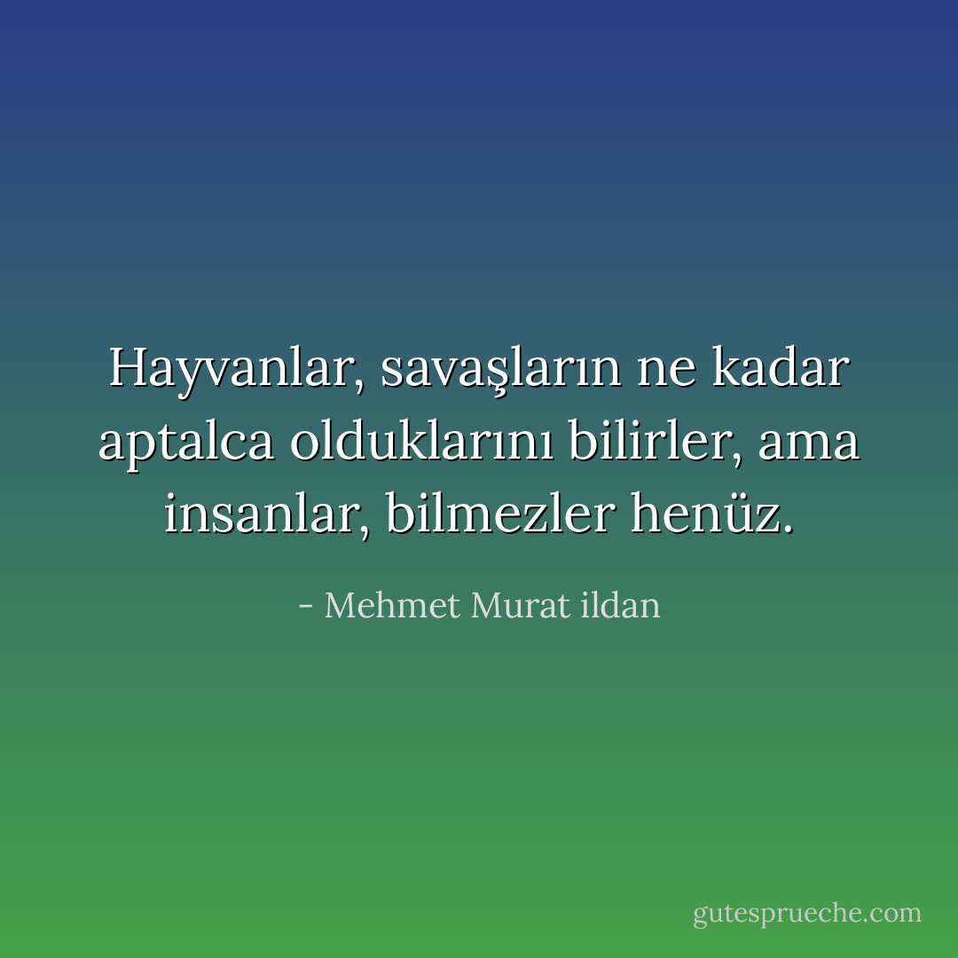 Hayvanlar, savaşların ne kadar aptalca olduklarını bilirler, ama insanlar, bilmezler henüz. - Mehmet Murat ildan