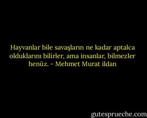 Hayvanlar bile savaşların ne kadar aptalca olduklarını bilirler, ama insanlar, bilmezler henüz. - Mehmet Murat ildan