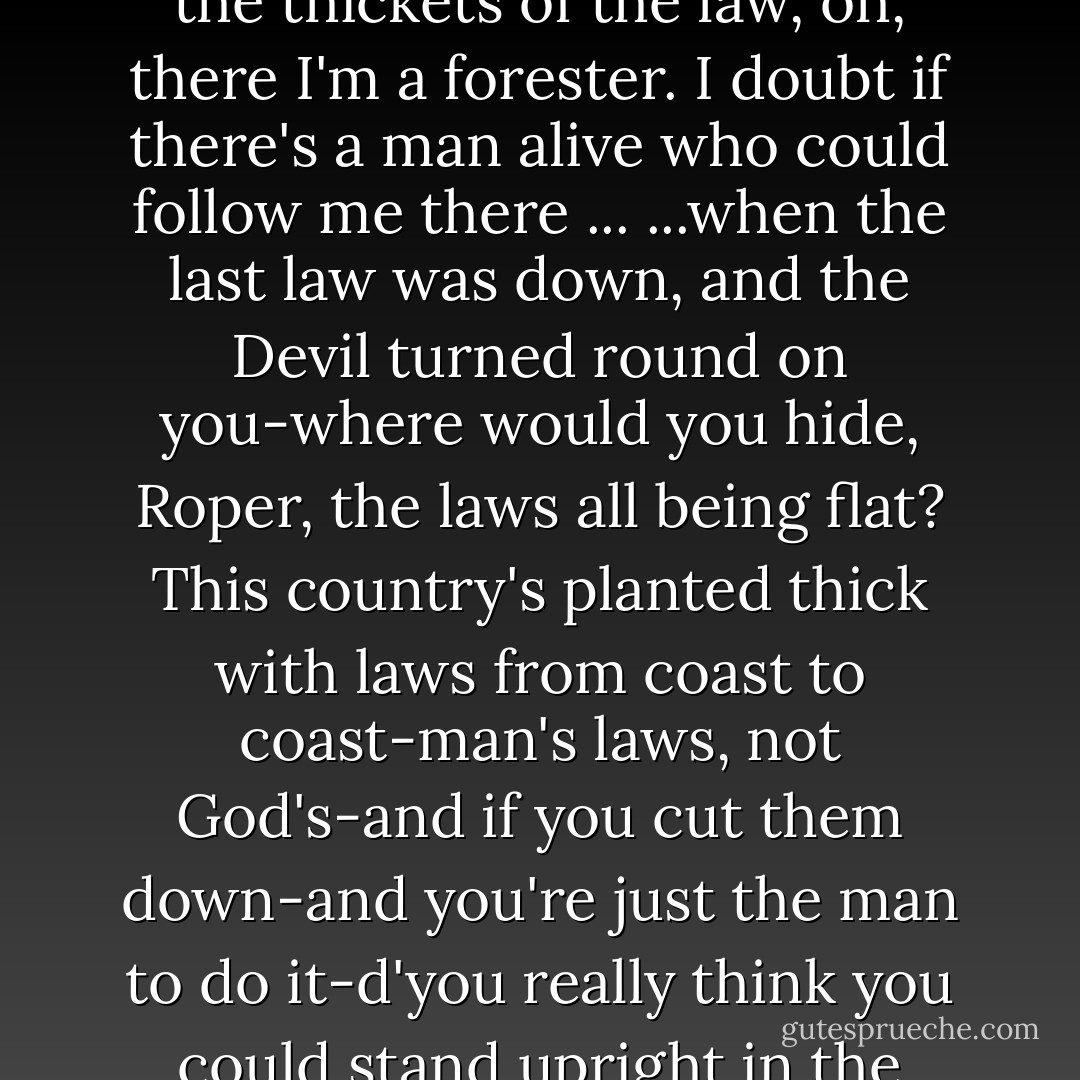 The currents and eddies of right and wrong, which you find such plain sailing, I can't navigate. I'm no voyager. But in the thickets of the law, oh, there I'm a forester. I doubt if there's a man alive who could follow me there ...<br />...when the last law was down, and the Devil turned round on you-where would you hide, Roper, the laws all being flat? This country's planted thick with laws from coast to coast-man's laws, not God's-and if you cut them down-and you're just the man to do it-d'you really think you could stand upright in the winds that would blow then? Yes, I'd give the Devil benefit of law, for my own safety's sake. - Robert Bolt