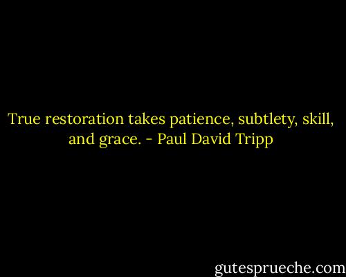 True restoration takes patience, subtlety, skill, and grace. - Paul David Tripp