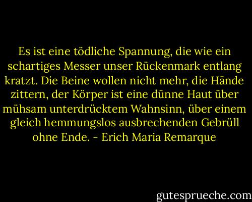 Es ist eine tödliche Spannung, die wie ein schartiges Messer unser Rückenmark entlang kratzt. Die Beine wollen nicht mehr, die Hände zittern, der Körper ist eine dünne Haut über mühsam unterdrücktem Wahnsinn, über einem gleich hemmungslos ausbrechenden Gebrüll ohne Ende. - Erich Maria Remarque