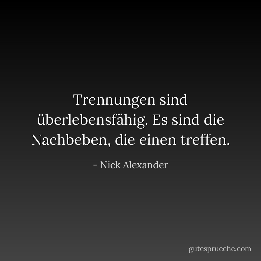 Trennungen sind überlebensfähig. Es sind die Nachbeben, die einen treffen. - Nick Alexander<