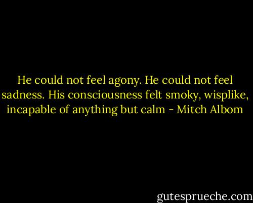 He could not feel agony. He could not feel sadness. His consciousness felt smoky, wisplike, incapable of anything but calm - Mitch Albom