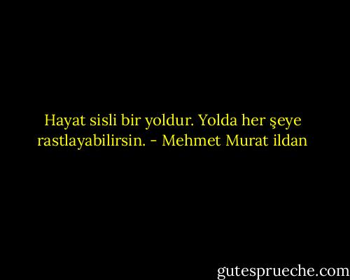 Hayat sisli bir yoldur. Yolda her şeye rastlayabilirsin. - Mehmet Murat ildan