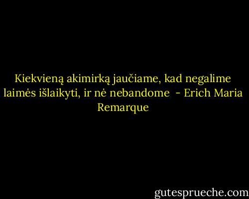 Kiekvieną akimirką jaučiame, kad negalime laimės išlaikyti, ir nė nebandome  - Erich Maria Remarque