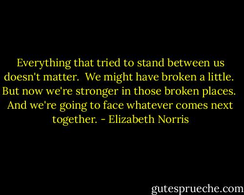 Everything that tried to stand between us doesn't matter. <br />We might have broken a little. <br />But now we're stronger in those broken places. <br />And we're going to face whatever comes next together. - Elizabeth Norris
